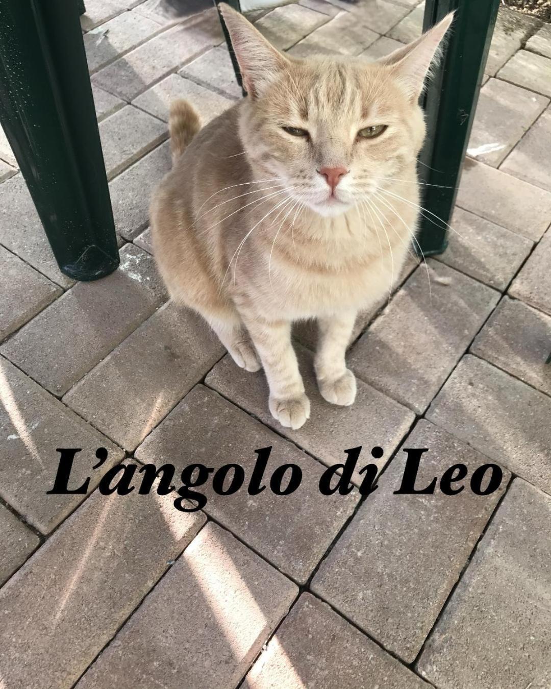 L'Angolo Di Leo Borgofranco d'Ivrea Extérieur photo